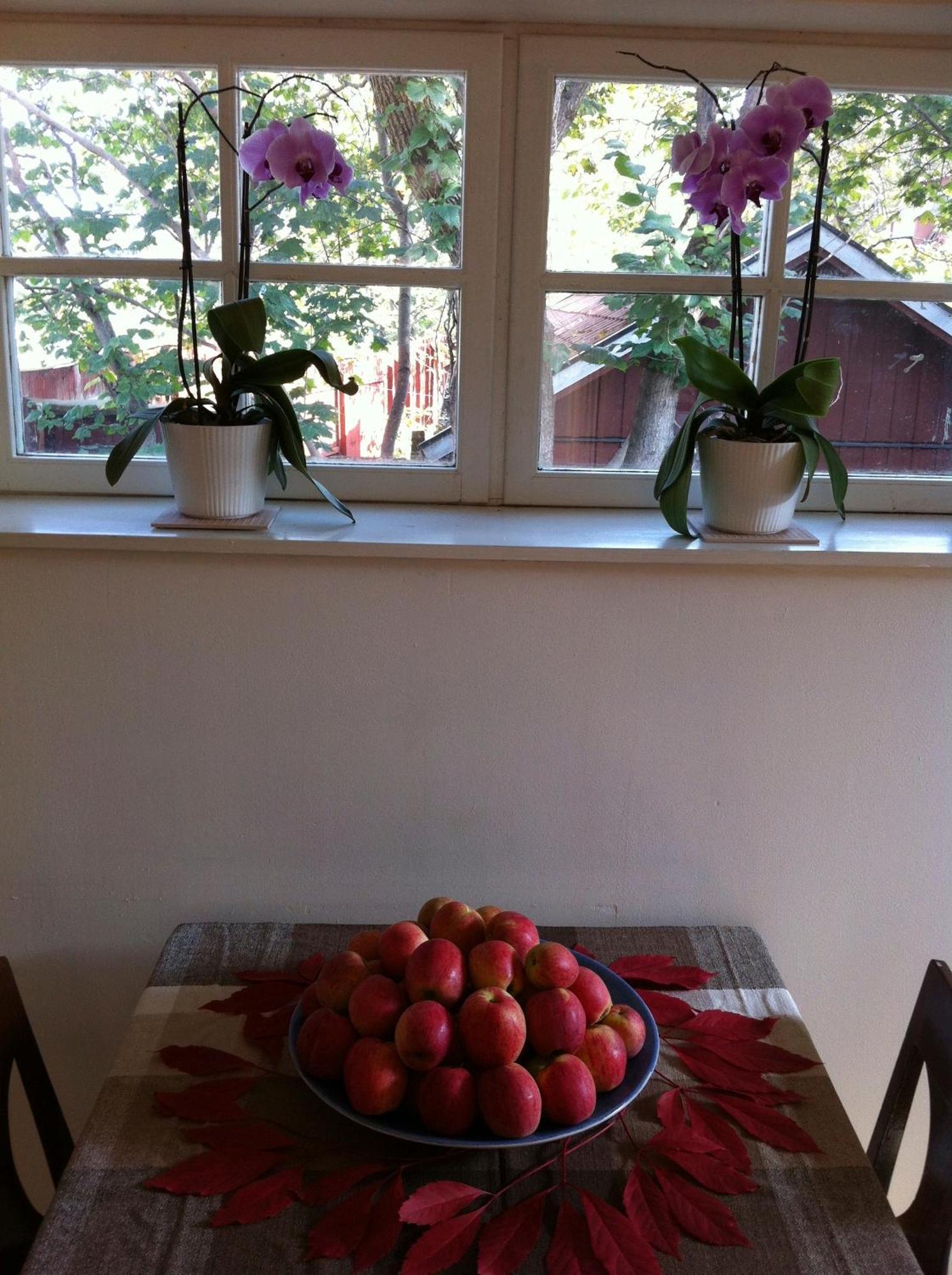 Stockholm B&B Cottage Nacka Camera foto